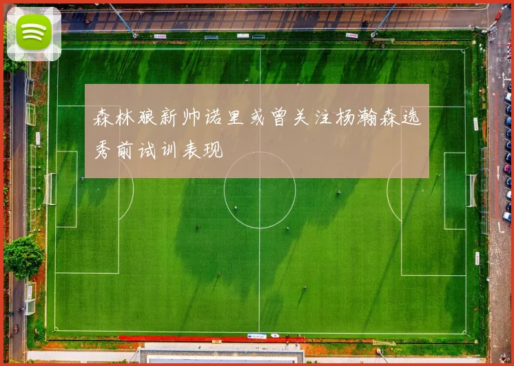 森林狼新帅诺里或曾关注杨瀚森选秀前试训表现